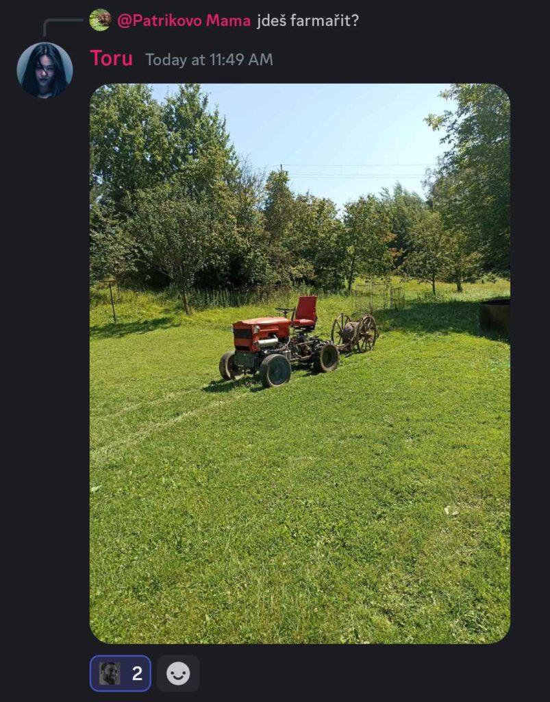 6